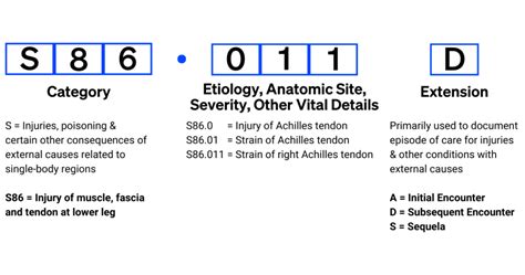 icd 10 code for wound|2025 ICD